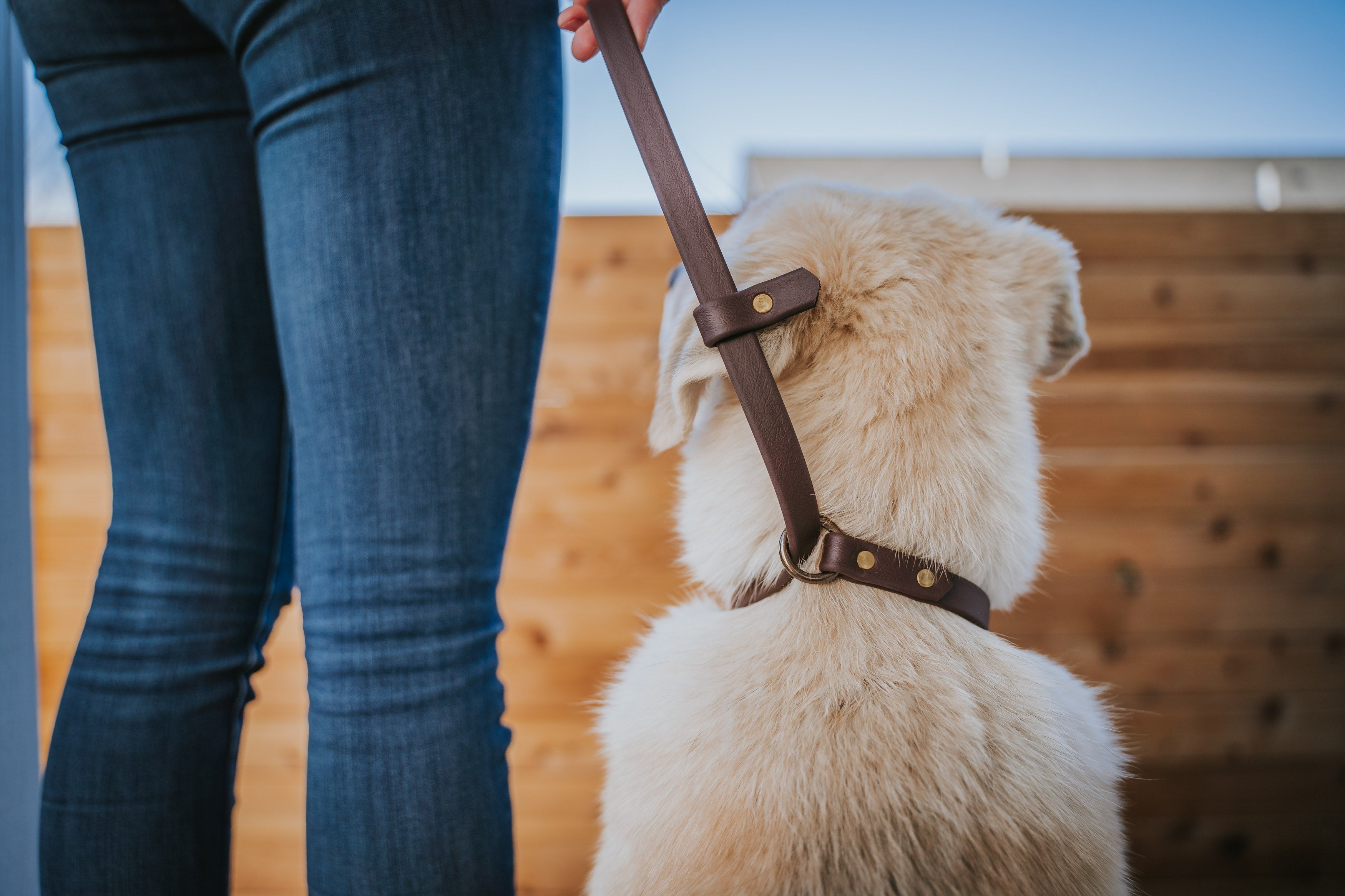 The Slip Cable Leash