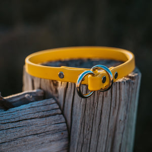 Handmade Biothane webbing dog collar in a summery yellow color