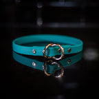 Handmade Biothane webbing dog collar