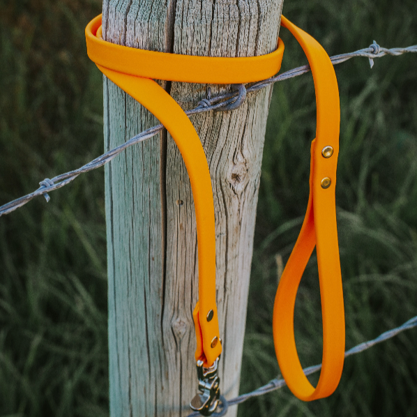 The Cable Leash