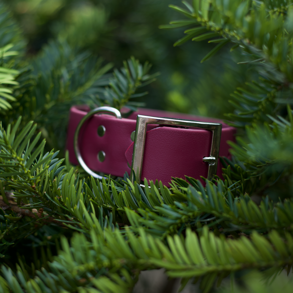 Handmade Biothane webbing dog collar